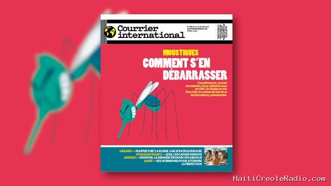 Moustiques : comment s’en débarrasser