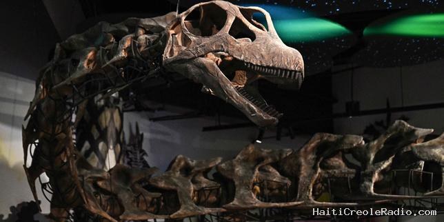 Plus grand et plus lourd qu’un diplodocus : découvrez à quoi ressemble le nagatitan, le nouveau dinosaure gigantesque identifié par des chercheurs