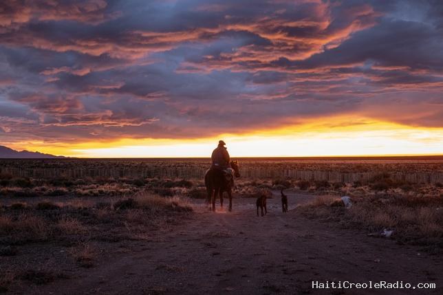 Pour échapper à l’apocalypse, les ultra-riches ont un plan : un ranch en Argentine