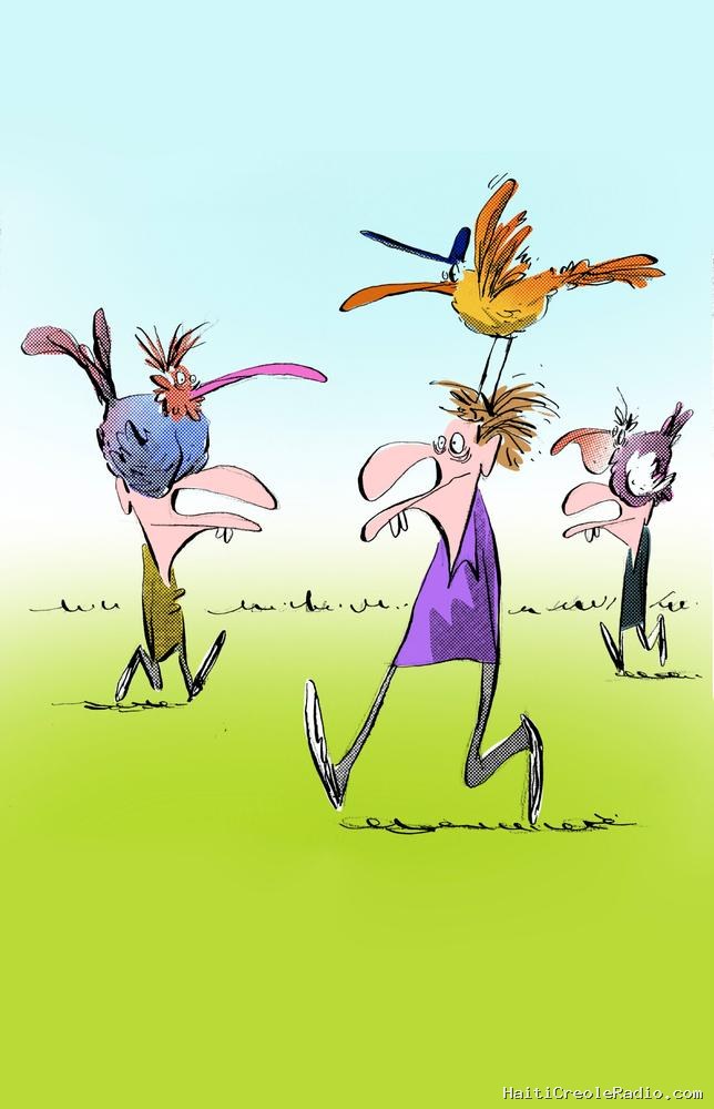 Pour “oublier le stress de la vie”, la Gen Z a une nouvelle passion : les oiseaux