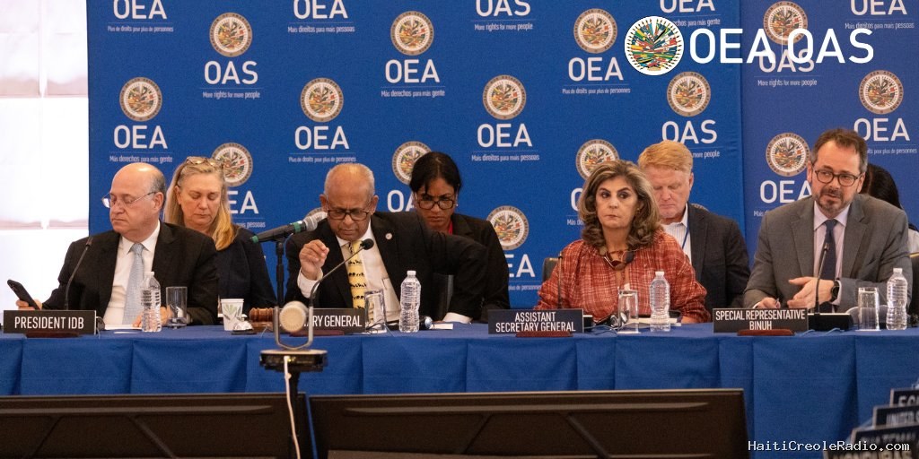 Quand l’OEA feint d’oublier que la Constitution interdit le référendum et Fils-Aimé sort l’argument des 280 partis inscrits lui faisant confiance