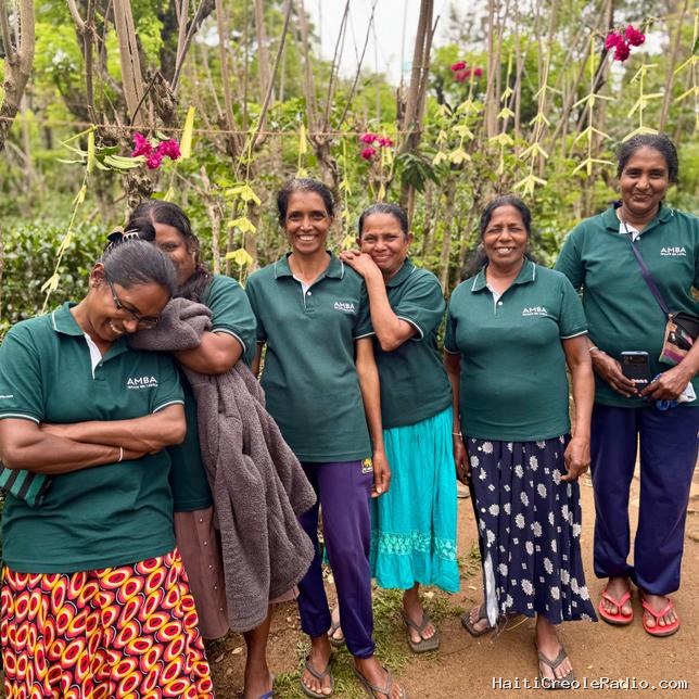Sri Lanka : le Pekoe Trail, sur le chemin du thé (6/6)