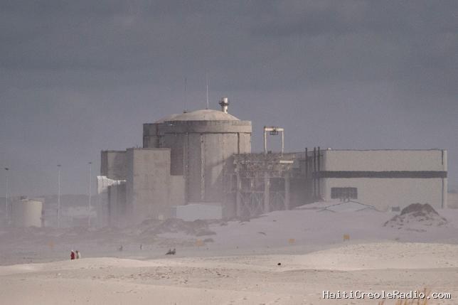 Un amas de sardines mortes bloque l’unique centrale nucléaire sud-africaine