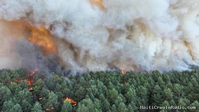 Un incendie d’une “ampleur exceptionnelle” ravage la forêt de Fontainebleau