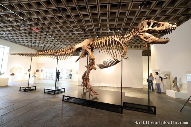 Un “T. rex” pourrait devenir le fossile le plus cher de tous les temps