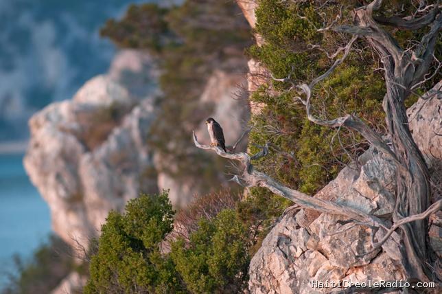 Virée en Barbagia, dans “le Far West de la Sardaigne”